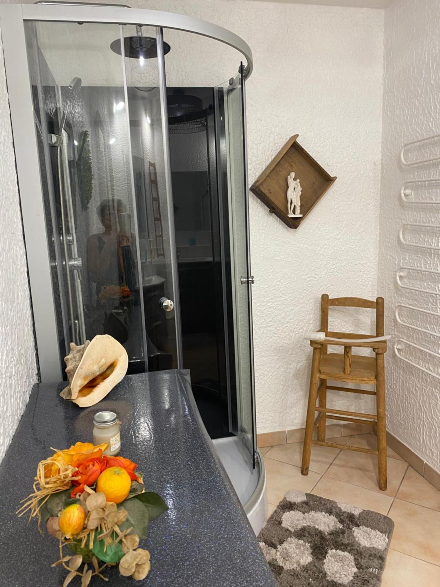 Studio Les Trois Maries Fondettes Proche Tours Dış mekan fotoğraf